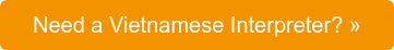 Need a Vietnamese Interpreter?
